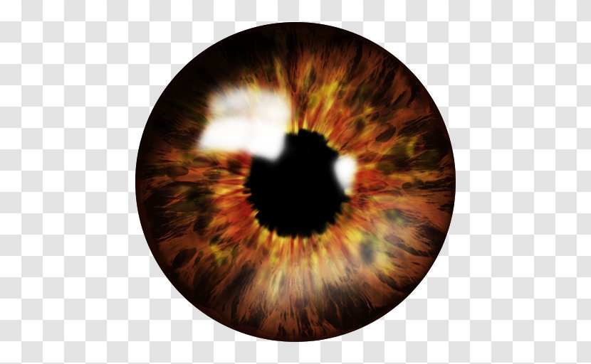 Eye Color Human Iris - Flower Transparent PNG