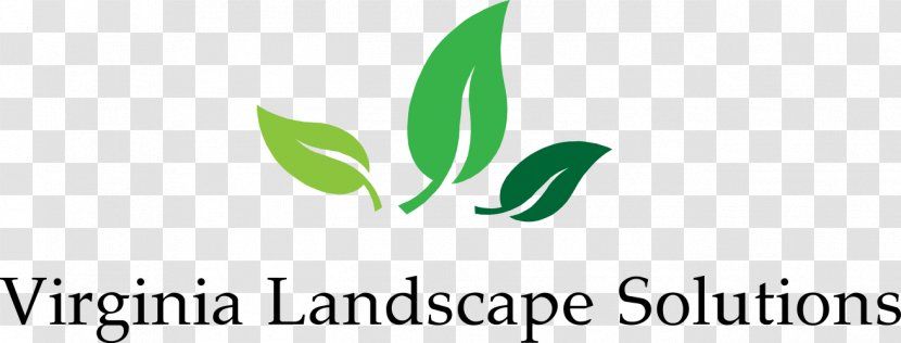 Virginia Landscape Solutions Auburn Dental Aesthetics Landscaping Plant - Dentist Transparent PNG