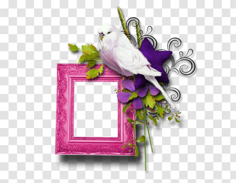 Floral Design Picture Frames Flower - Rectangle Transparent PNG