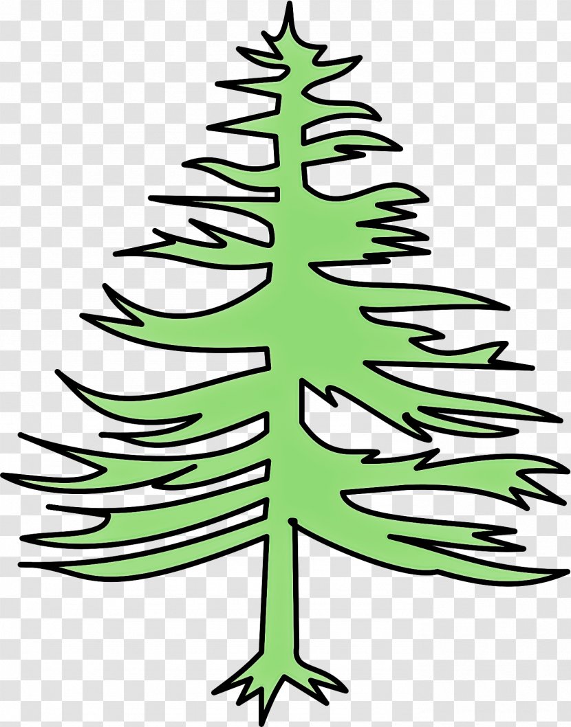 Christmas Tree - American Larch Plant Transparent PNG