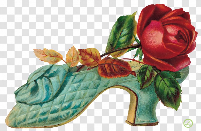 Flower Garden Roses Footwear Floral Design - Vintage Flowers Transparent PNG