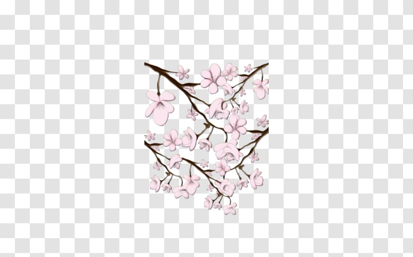 Cherry Blossom - Magnolia Transparent PNG