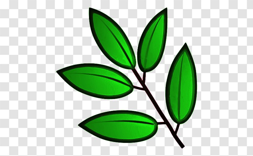 Green Leaf Background - Branch - Tree Flower Transparent PNG