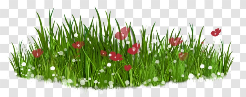 Flower Lawn Clip Art - Garden - Green Grass Transparent PNG