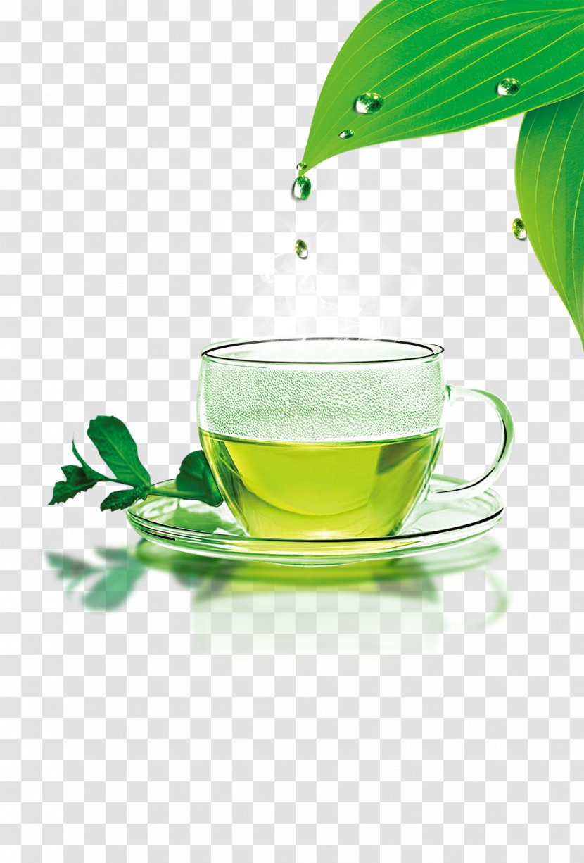 Green Tea Cafe Icon - Liquid - Fresh Transparent PNG