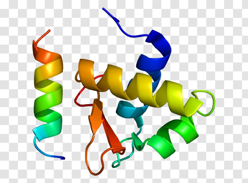 Replication Protein A2 Single-stranded Binding DNA - Dna - Dnabinding Domain Transparent PNG