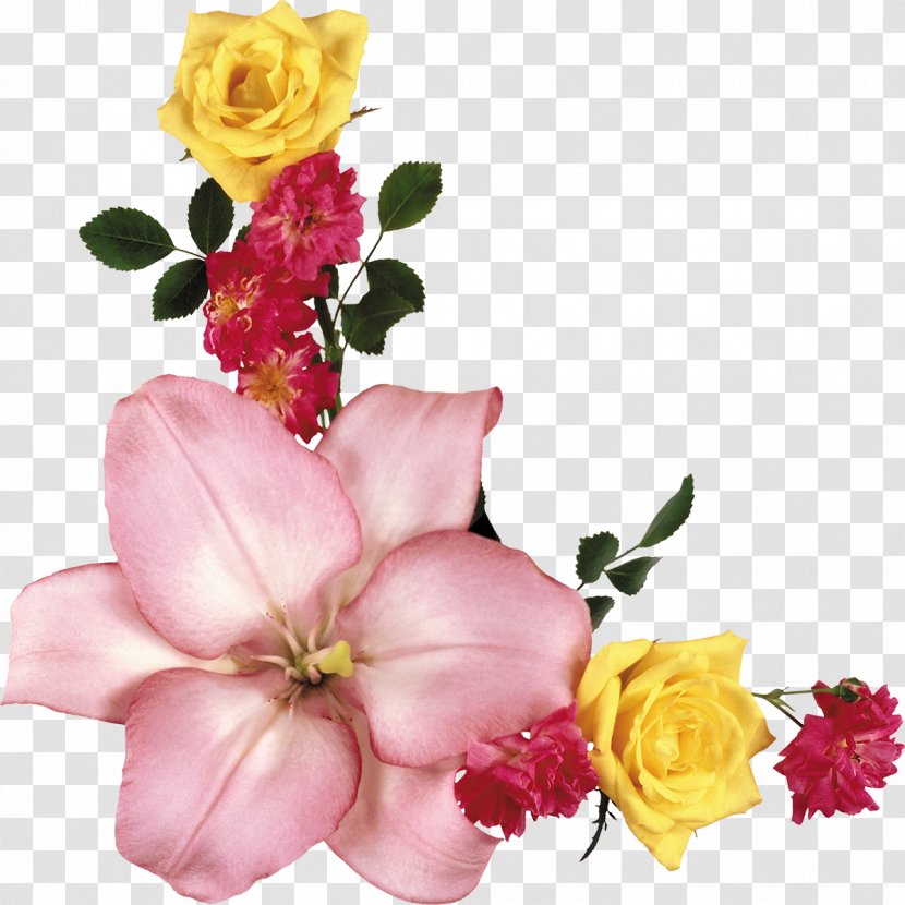 Garden Roses Clip Art - Rosa Centifolia - Kartikeya Transparent PNG