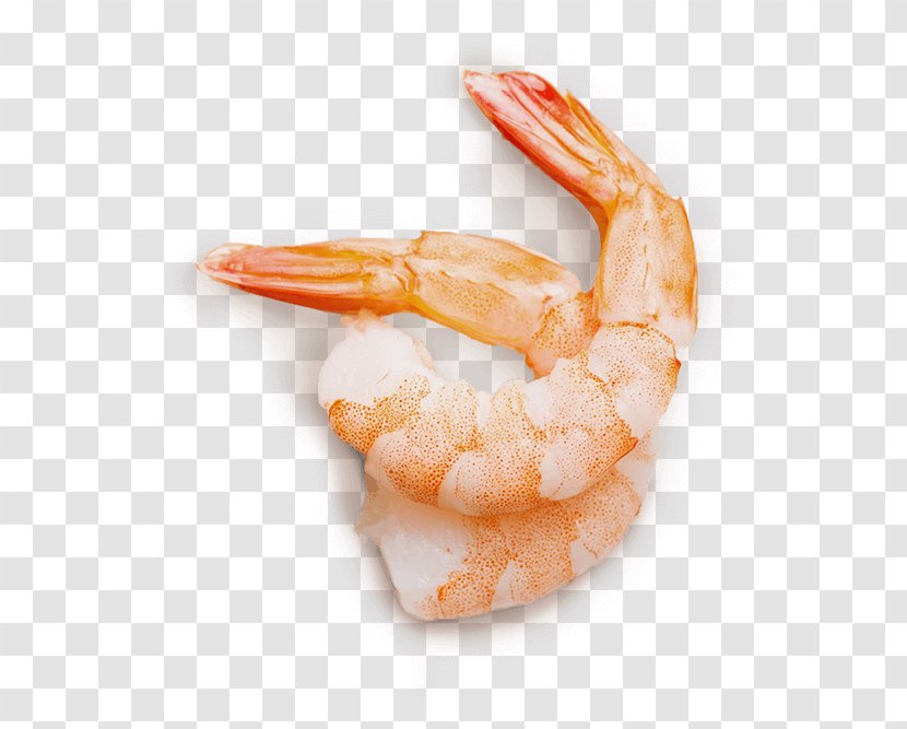 Caridea Prawns Shrimp Giant Tiger Prawn Transparent PNG