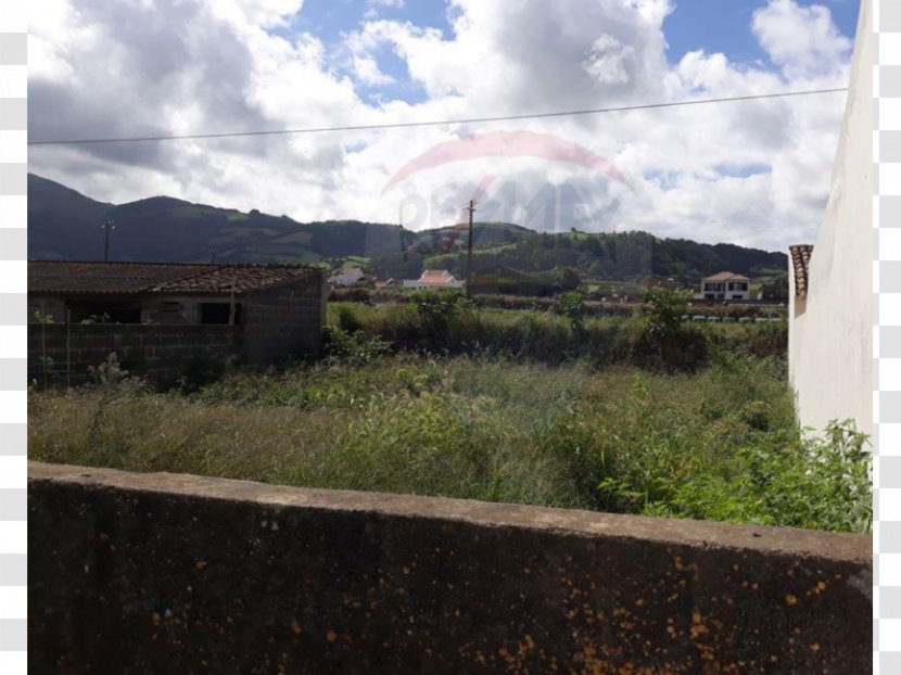 Ribeira Grande, Azores Land Lot Real Estate Property Plant Community - Grass - Grande Transparent PNG