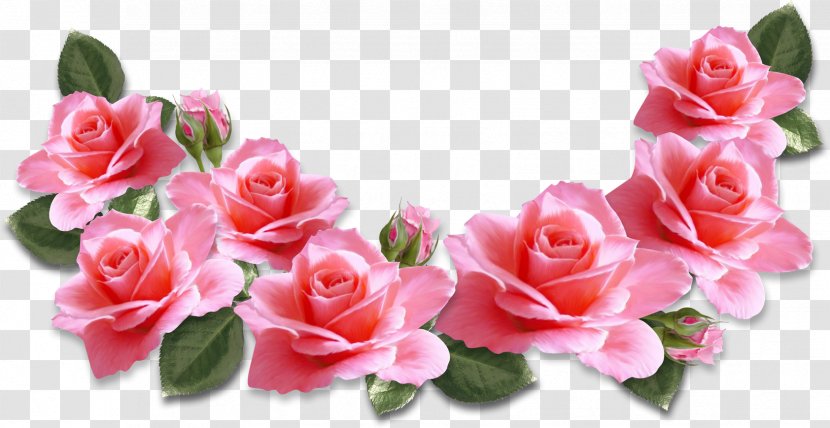 Rose Pink Flowers Clip Art - Floristry Transparent PNG