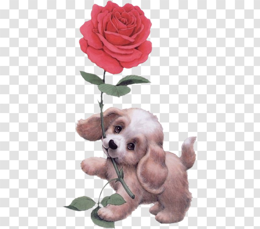 Dog Breed Puppy Love Companion - Rose Family - Dogrose Transparent PNG