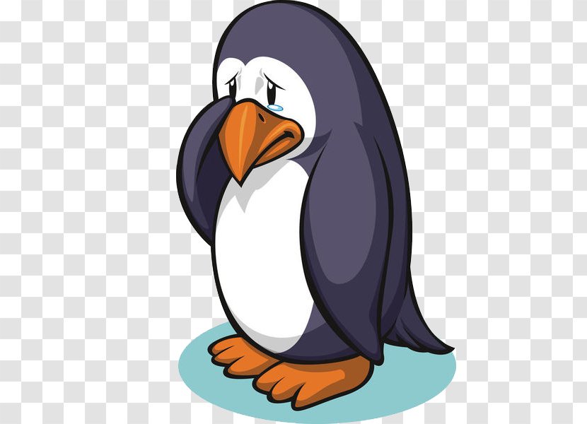 Penguin Vector Graphics Stock Photography Illustration Royalty-free Transparent PNG