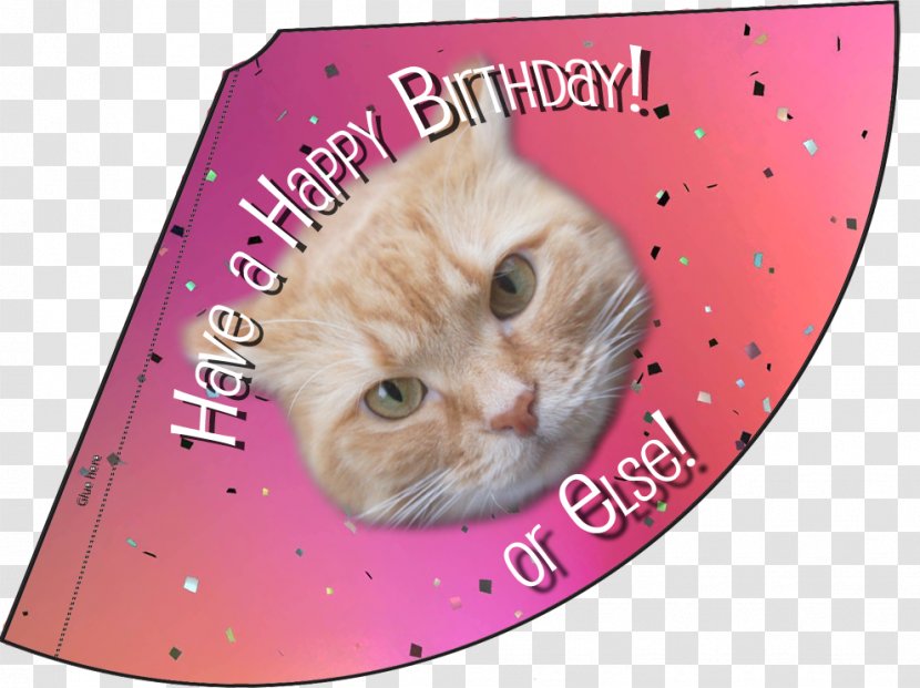 Whiskers Kitten Birthday Party Hat - Paw Transparent PNG