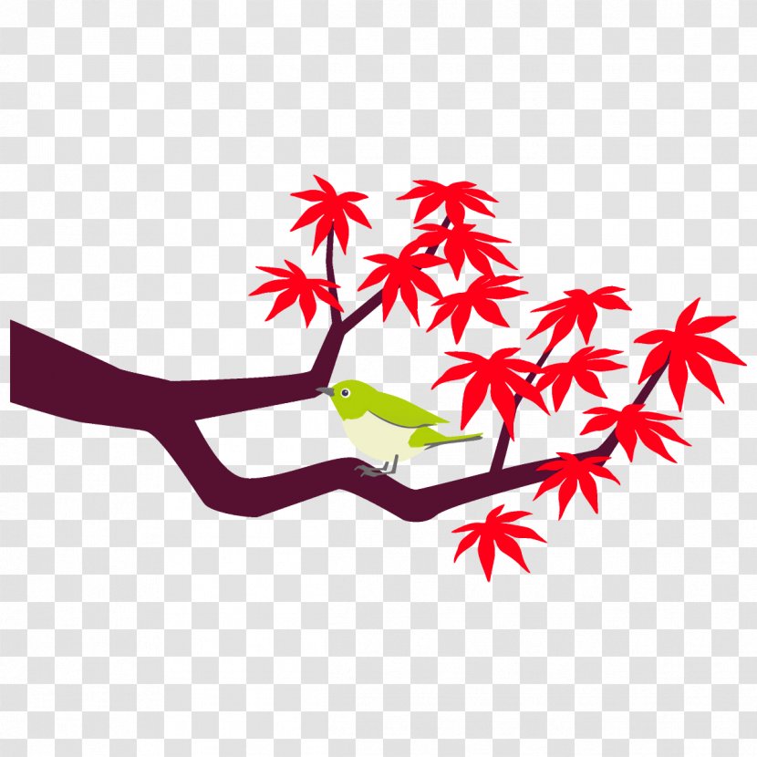 Maple Branch Leaves Autumn Tree - Red - Plant Transparent PNG