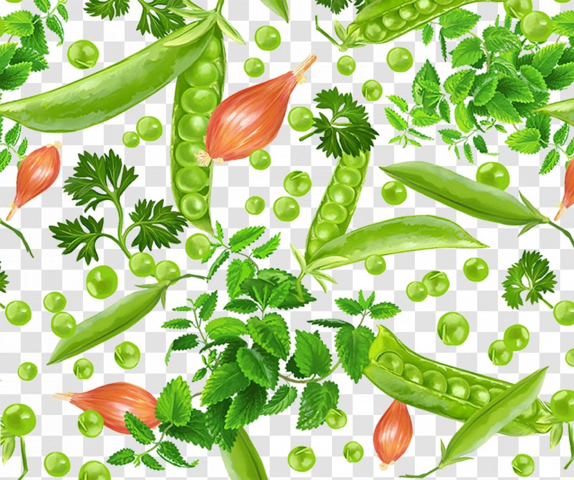 Pea Birds Eye Chili Food - Vegetarian - Green Peas Healthy Transparent PNG