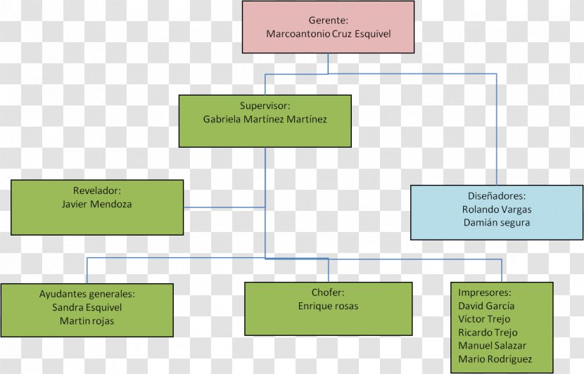 Organizational Chart Empresa Textile Industry Human Resource Management - Berg Transparent PNG