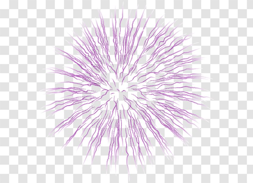 Clip Art Image Fireworks Vector Graphics - Sky Transparent PNG