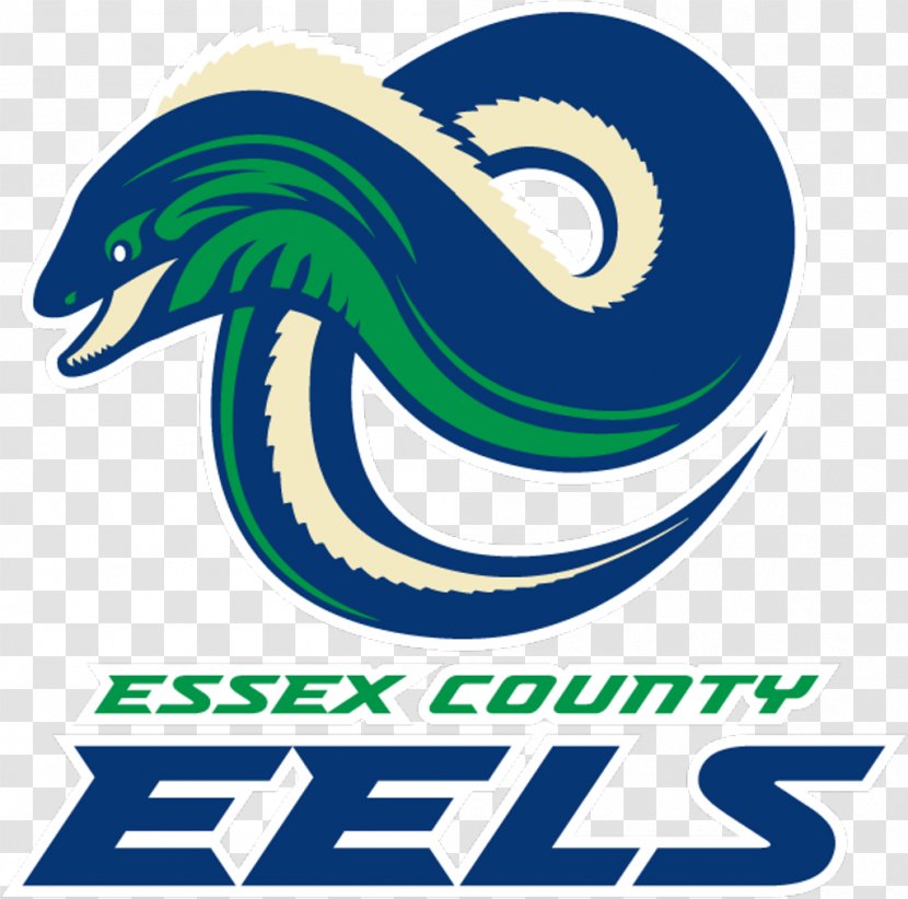 Haverhill Logo Armstrong Arena Raymond Bourque Eel - Essex County - Eels Transparent PNG