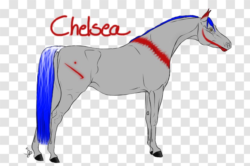 Mane Mustang Stallion Mare Halter - Horse Tack - Chelsea Grin Transparent PNG