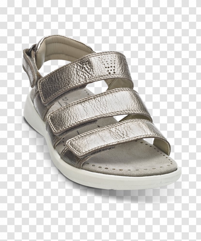 Slide Sandal Shoe - Footwear Transparent PNG