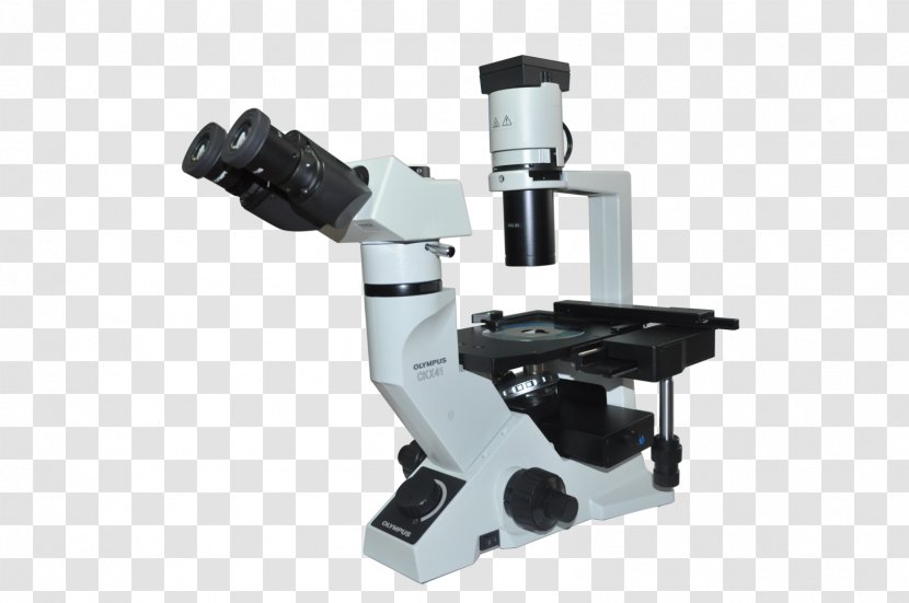 Fluorescence Microscope Optical Instrument Optics Transparent PNG