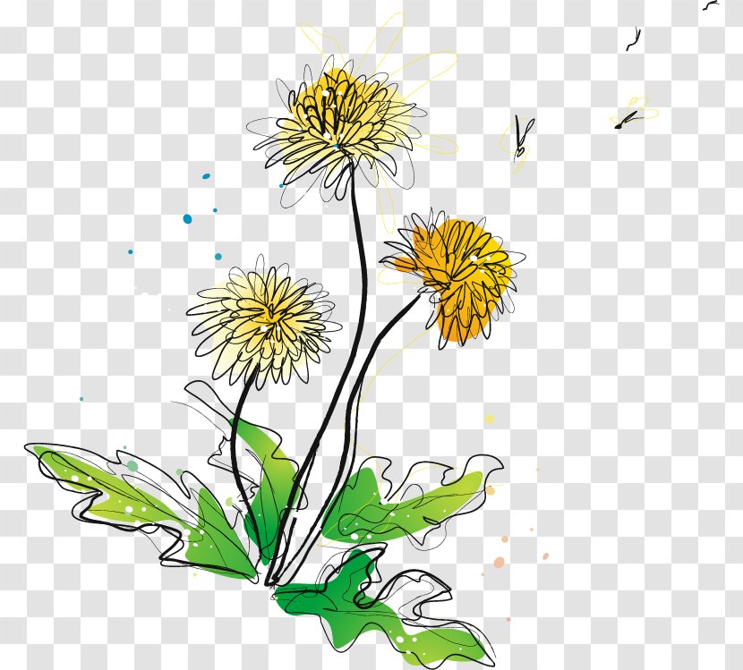 Chrysanthemum Indicum Adobe Illustrator - Floristry - Vector Material Transparent PNG