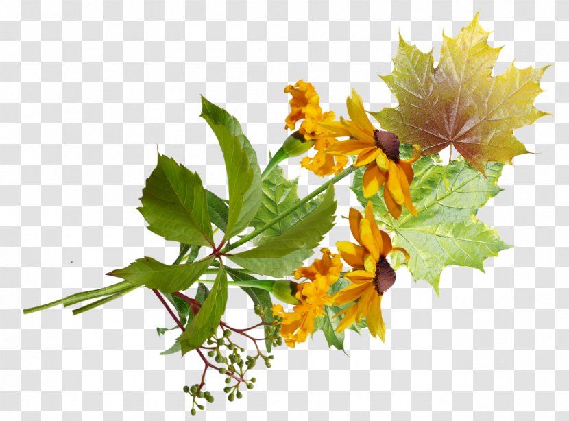 Flower Bouquet Floral Design Cut Flowers Leaf - Yellow - Barra Filigree Transparent PNG