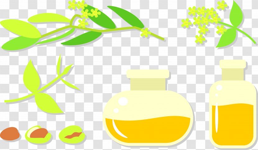 Raster Graphics Olive Oil - Painted In Bottles Transparent PNG