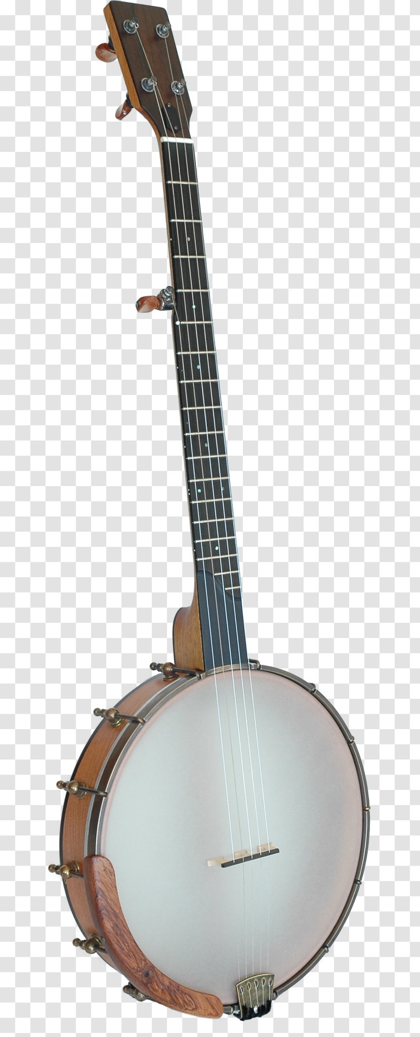 Banjo Musical Instruments String Guitar Picks - Tree Transparent PNG