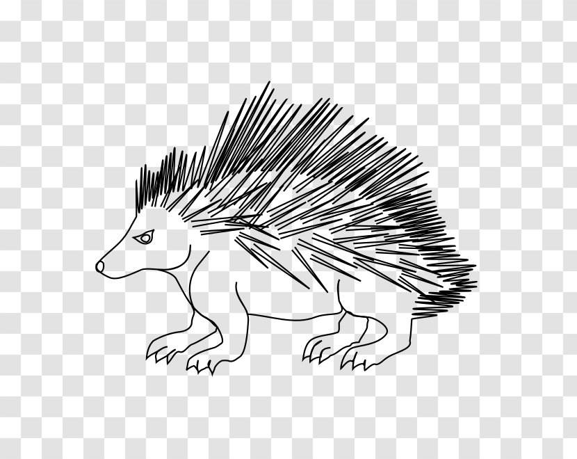 Hedgehog Echidna Porcupine Line Art White - Monochrome Photography Transparent PNG