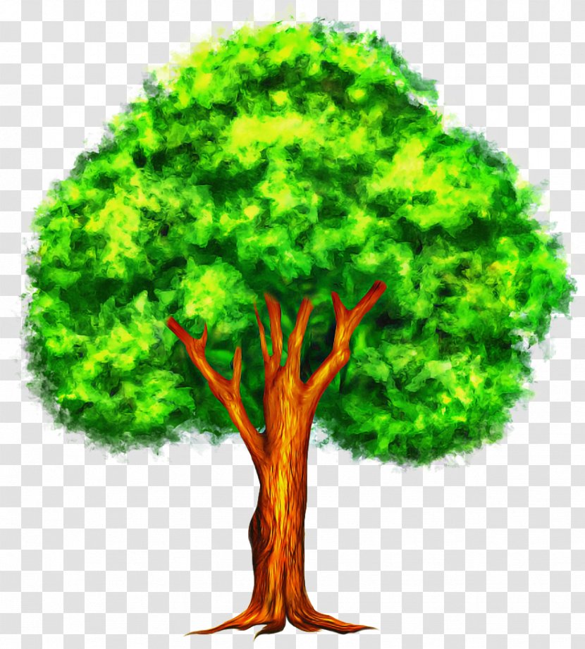 Arbor Day - Green - Trunk Transparent PNG