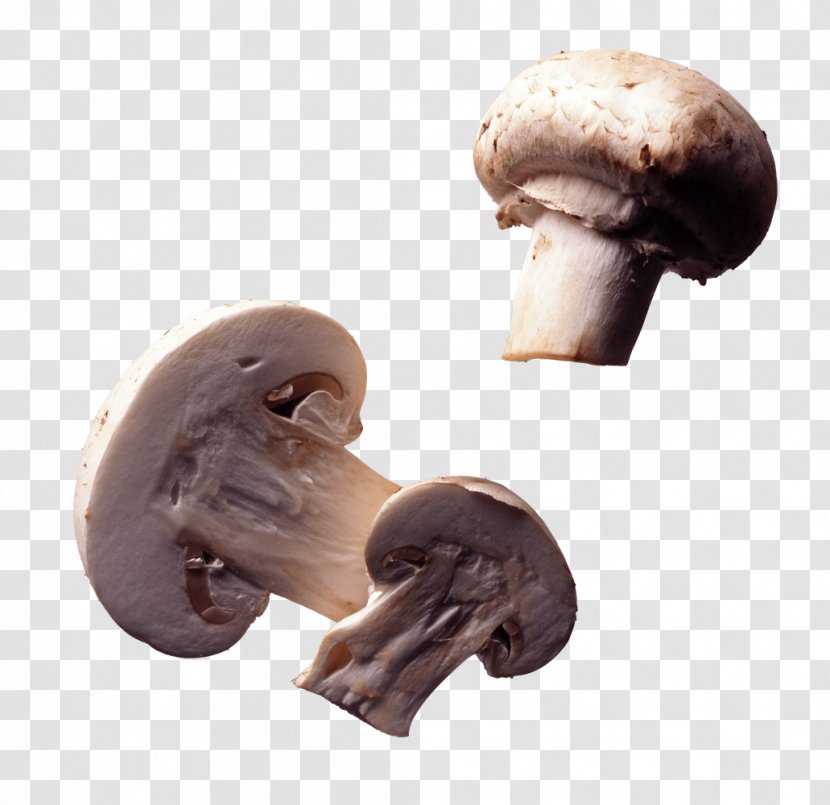 Common Mushroom Edible Fungus - Pleurotus Eryngii - Three Mushrooms Cut In Half Transparent PNG