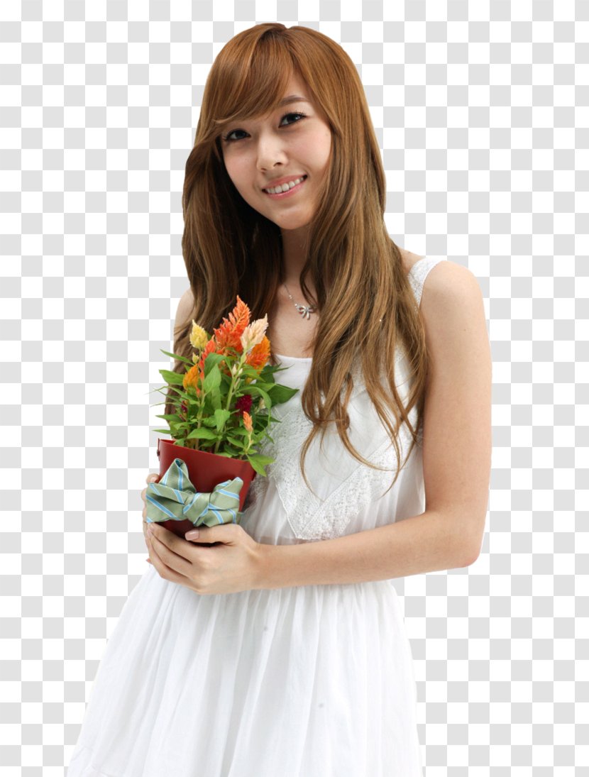 Jessica Jung Girls' Generation Tell Me Your Wish (Genie) The Boys - Tree - Girls Transparent PNG