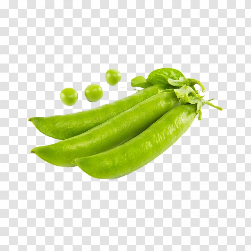 Snow Pea U8c4cu8c46u835a Vegetable Legume - Natural Foods - Green Peas Transparent PNG
