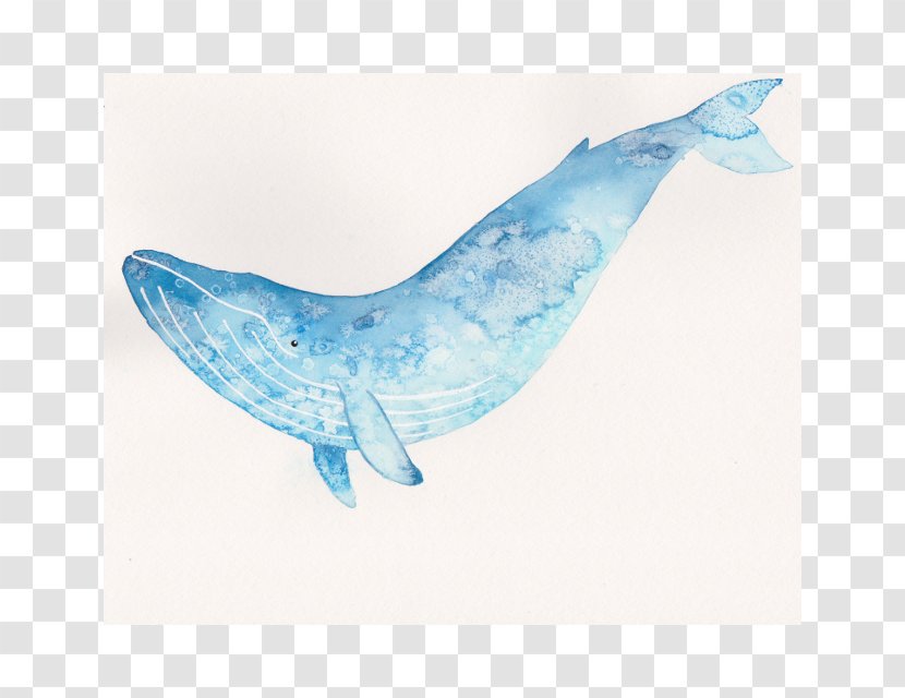 Blue Whale Watercolor Painting Art Transparent PNG
