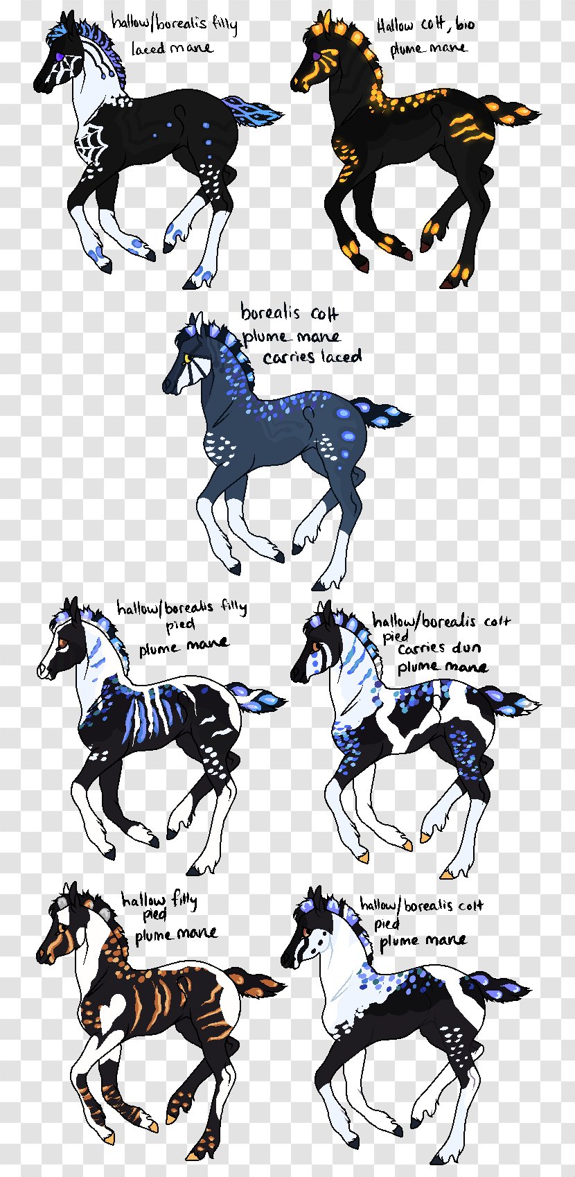 Horse Legendary Creature Illustration Pack Animal Fiction - Frame - Aurora Borealis Wallpapers X Transparent PNG