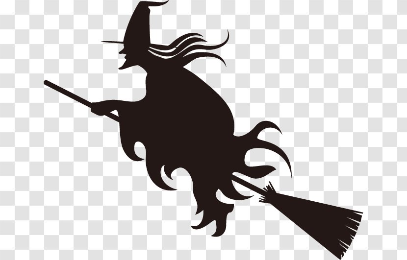 Witch's Broom Halloween - Photography - Witch Transparent PNG