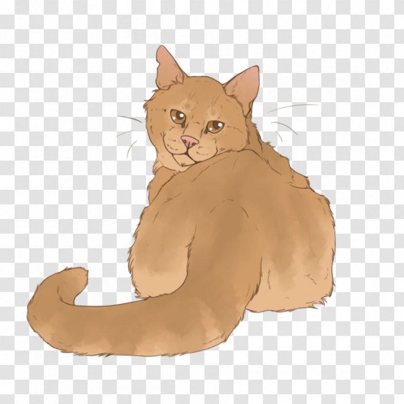 Kitten Whiskers Cat Warriors Thistleclaw Transparent PNG
