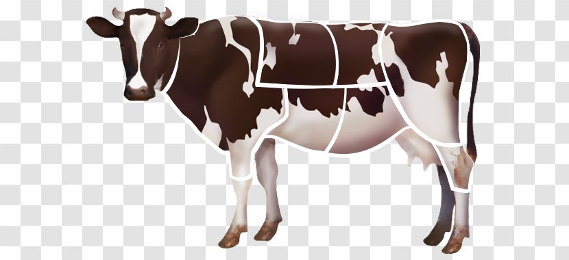 Holstein Friesian Cattle Dairy Livestock Farm Clip Art - Bull Transparent PNG