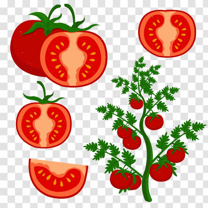 Cherry Tomato Clip Art - Food - Grow Tomatoes Transparent PNG