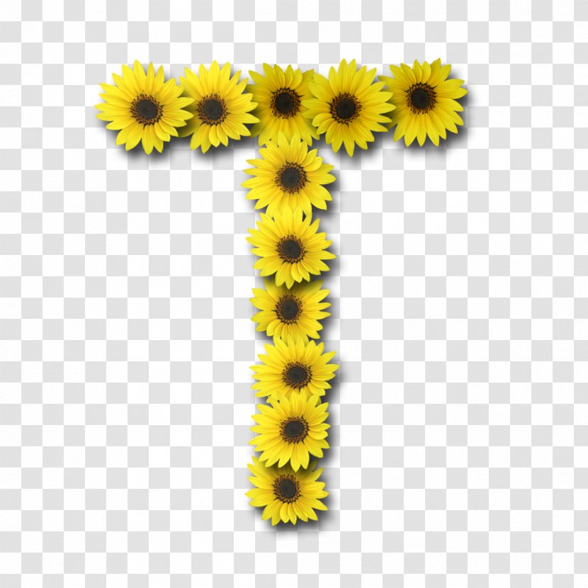 Common Sunflower Letter Alphabet - L Transparent PNG