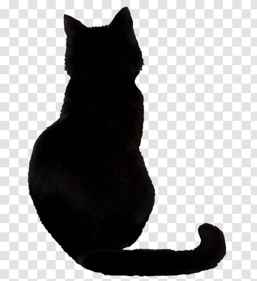 Bombay Cat Savannah Le Chat Noir Felidae Wildcat - Black Transparent Transparent PNG