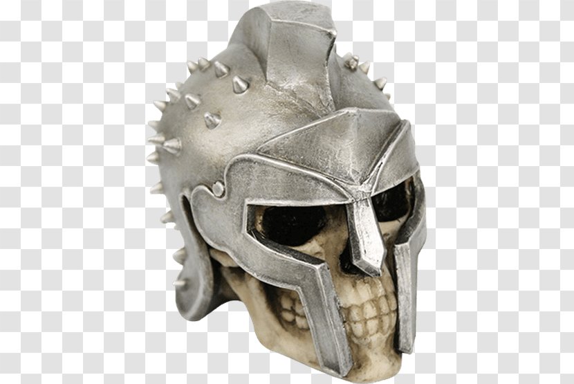 Skull Maximus Human Skeleton Bone - Helmet Transparent PNG