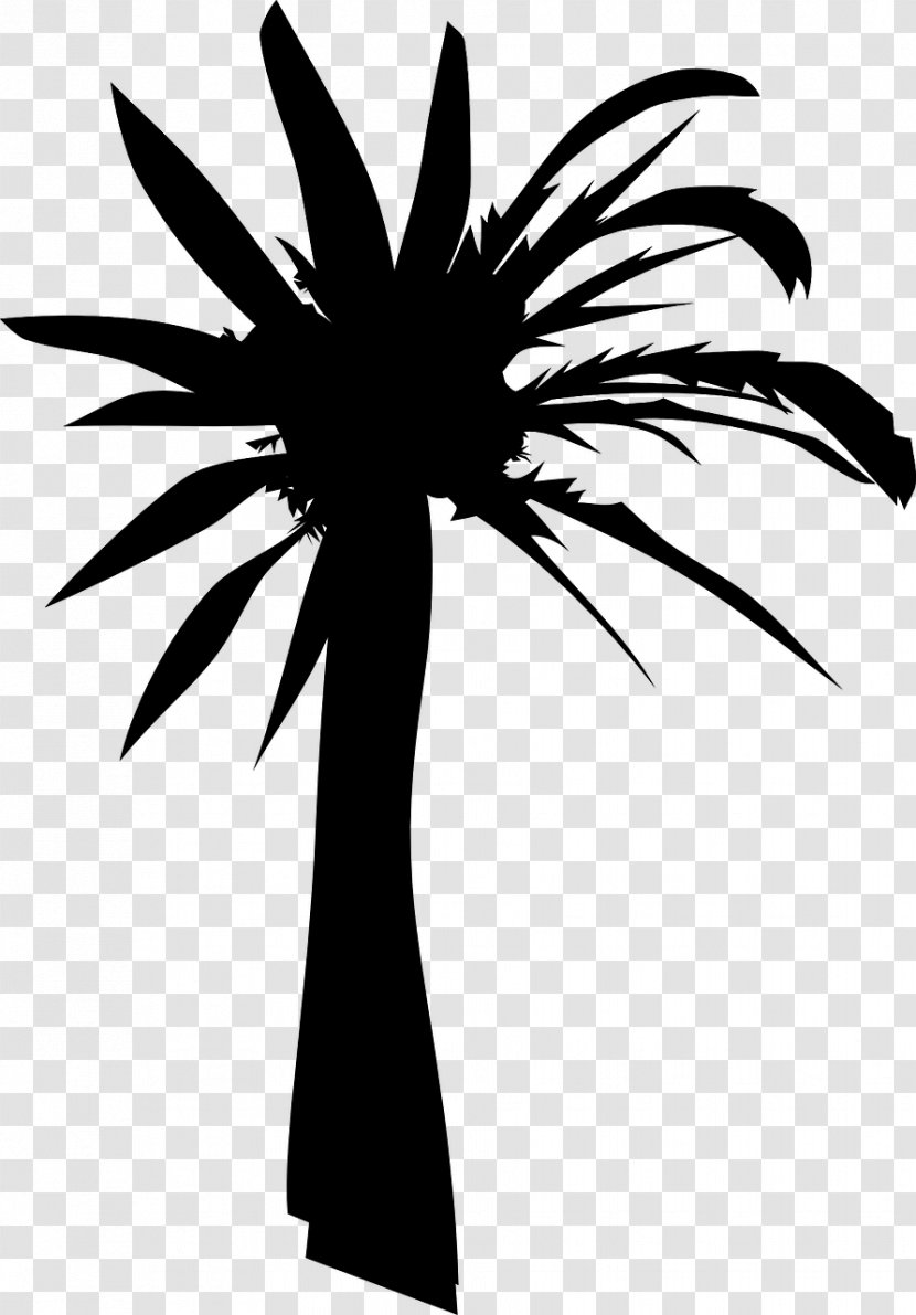 Arecaceae Tree Drawing Clip Art - Silhouette Transparent PNG