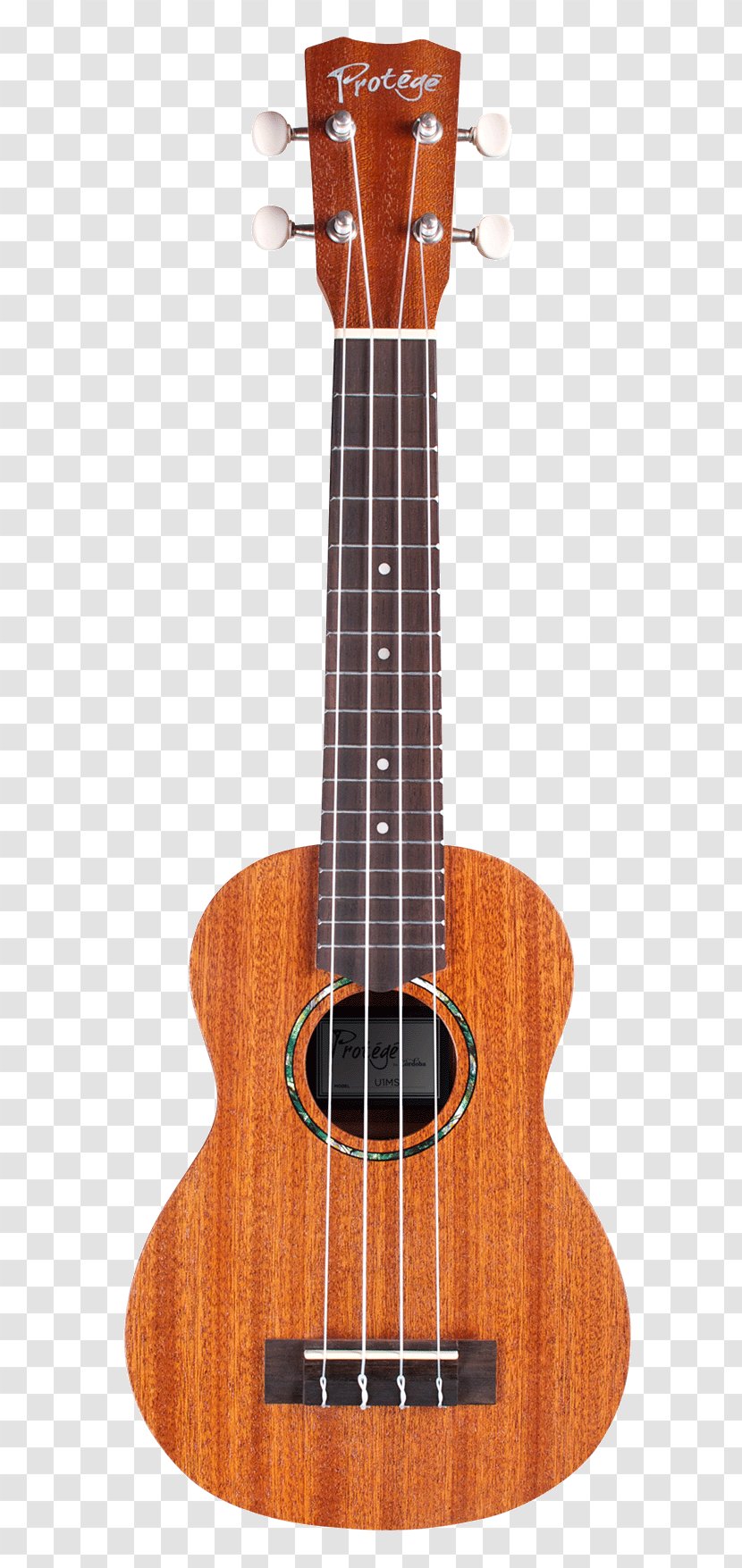 Cordoba 15cm Concert Ukulele Classical Guitar Córdoba Protégé C1M Musical Instruments - Tiple Transparent PNG