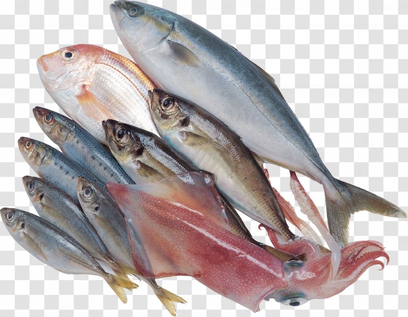 Kipper Sardine Fish Products Mackerel Oily - Shishamo Transparent PNG