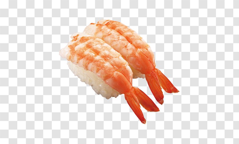 California Roll Sushi Tamagoyaki Caridea Shrimp Transparent PNG