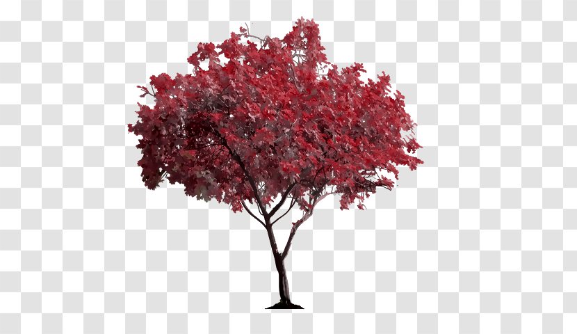 PicsArt Photo Studio Stock Photography Clip Art - Red Tree Transparent PNG