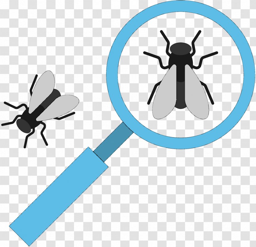 Mosquito Household Insect Repellents Fly Clip Art - Invertebrate Transparent PNG