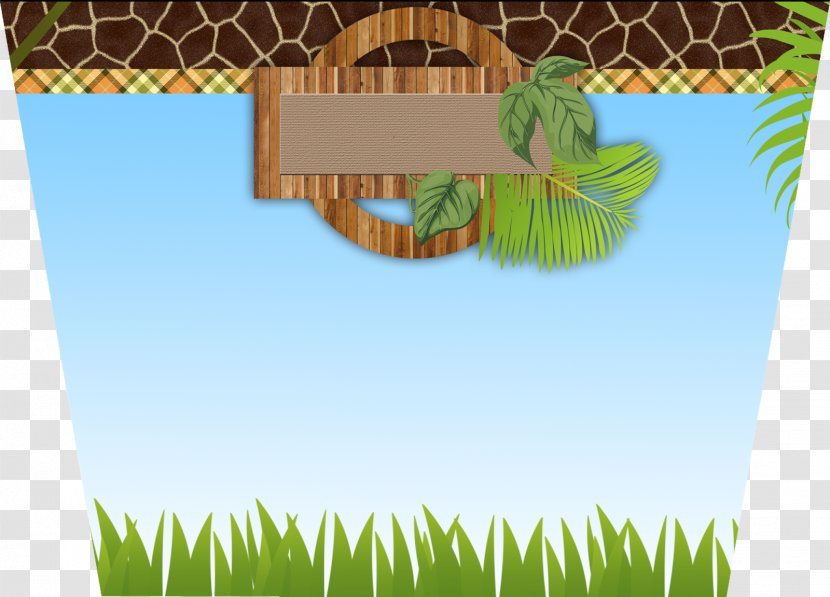 Baby Shower Party Convite Child Safari - Organism Transparent PNG